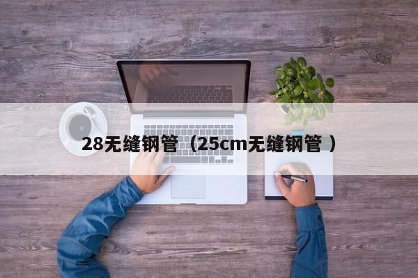 28無縫鋼管（25cm無縫鋼管 ）